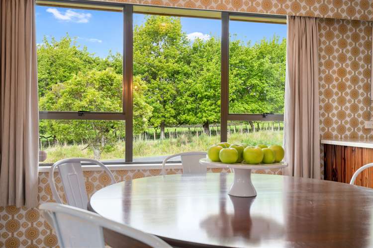 37 Seales Road Morrinsville_7