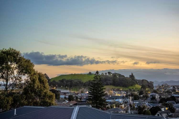 Lot 1-11/403 Mt Albert Road Mount Roskill_21
