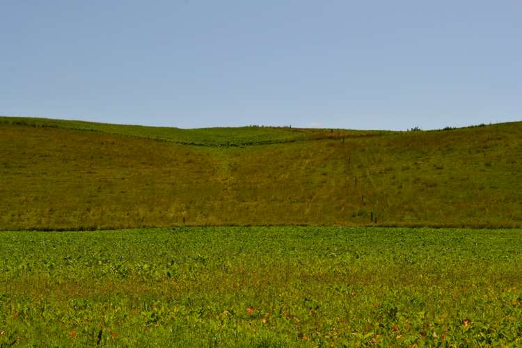 112 Bowalley Road Herbert_21