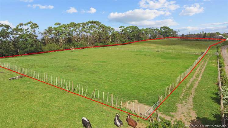 78 Dell Road Waiau Pa_6