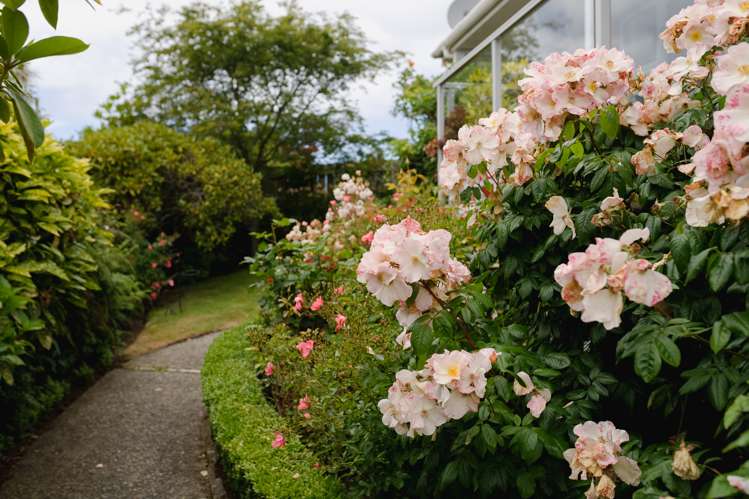 3 Sandringham Street Saint Clair_19