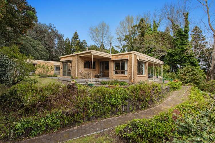 121 Reeves Road Opotiki and Surrounds_30