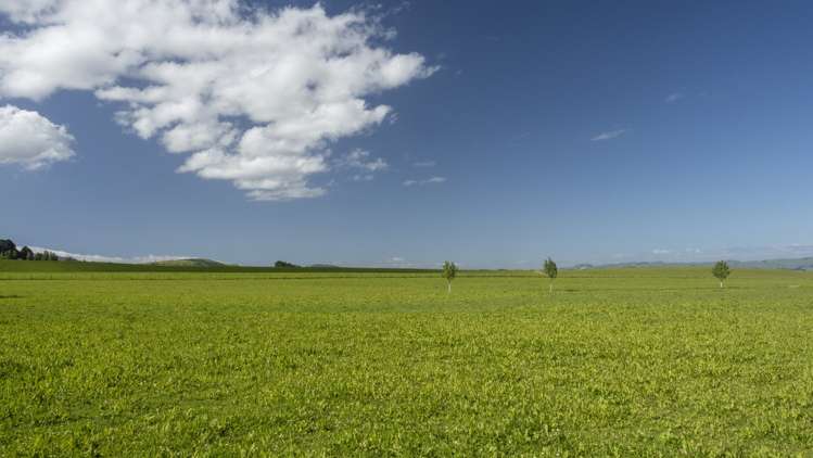 188 Burnetts Road Kaituna_0