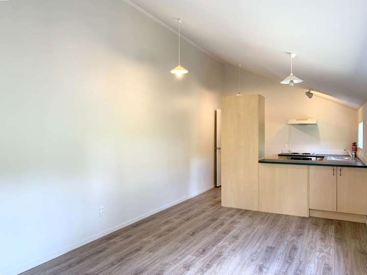 23R Hendry Avenue Hillsborough_6