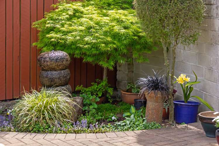 19c Cole Street Masterton_15