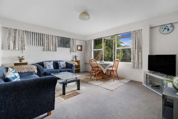 52 Vine Avenue Maungatapu_24