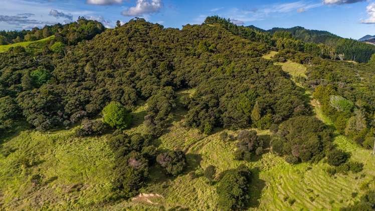 113 Puhata Road Herekino_29