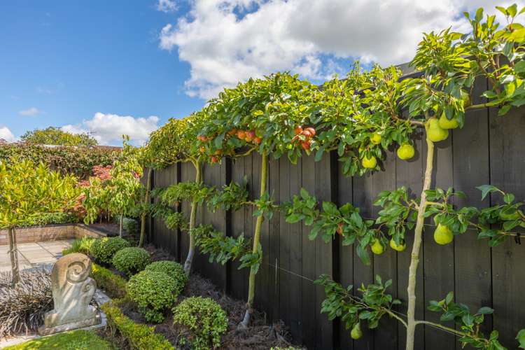 7a Bedford Terrace Waipukurau and Surrounds_25