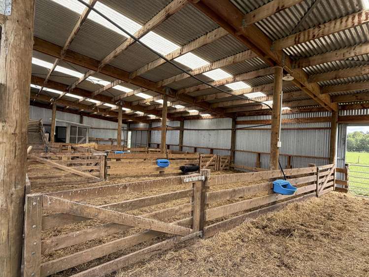 1148 Blackmount Redcliff Road Te Anau_19