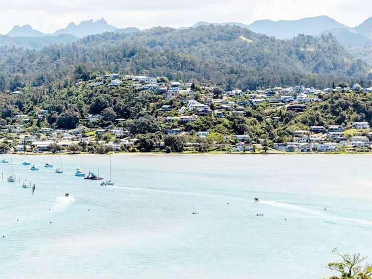 Address withheld Coromandel Forest Park_8