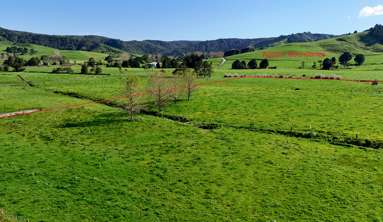 Matakana Valley Road_2