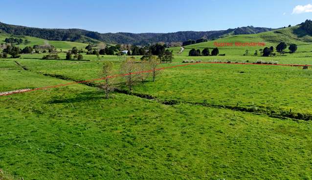 Matakana Valley Road Matakana_2