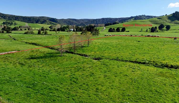 Matakana Valley Road_2