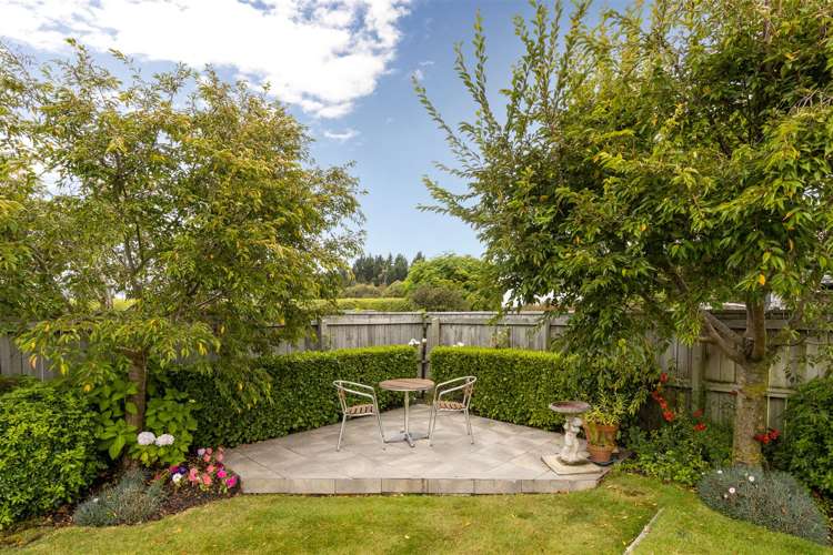 217 Taylor Pass Road Witherlea_23