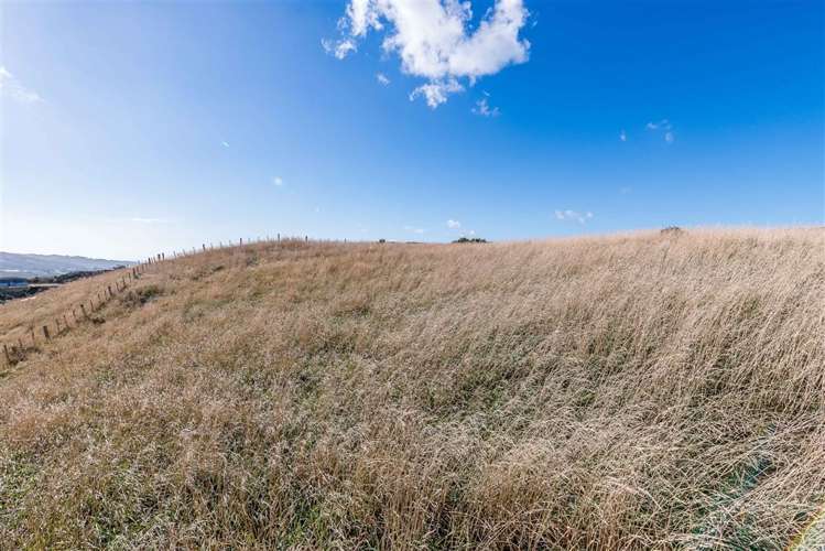 72 Bing Lucas Drive Tawa_11