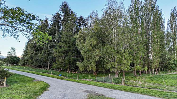 391 Hamilton Road Fairlie_14