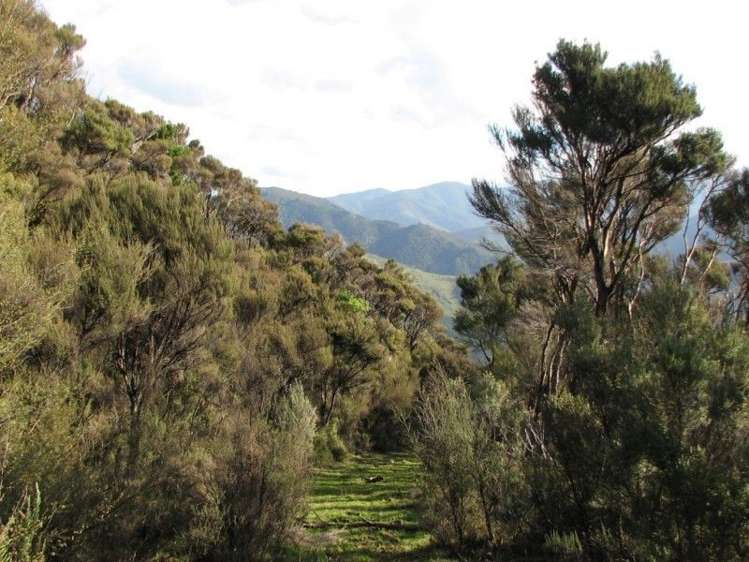 704 Mangatarere Valley Road Carterton_21