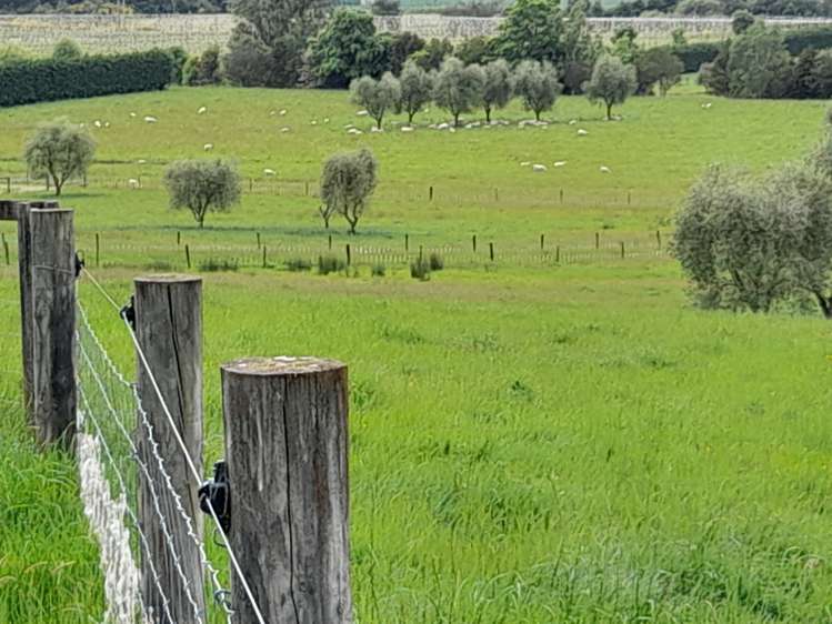 457 Central Road South Upper Moutere_1