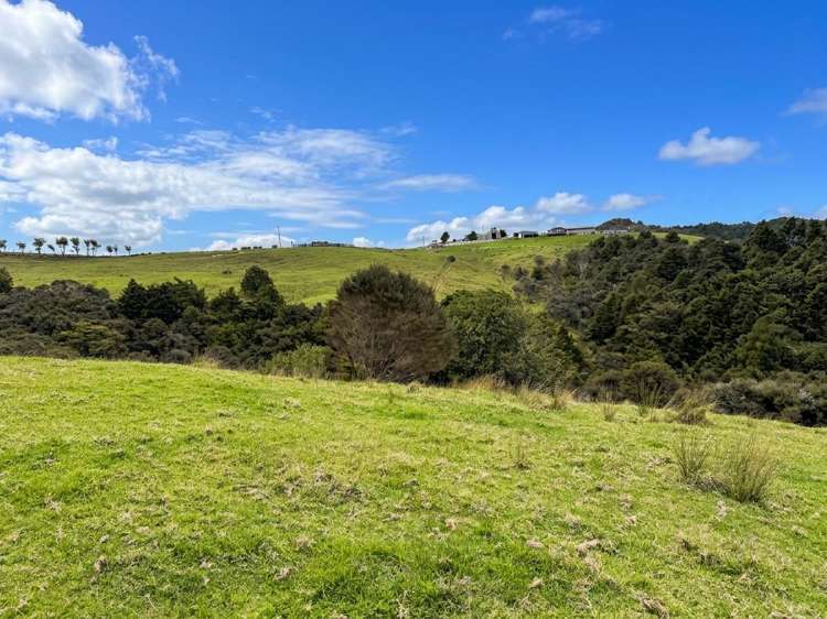 583 Lusk Road Ruawai_6