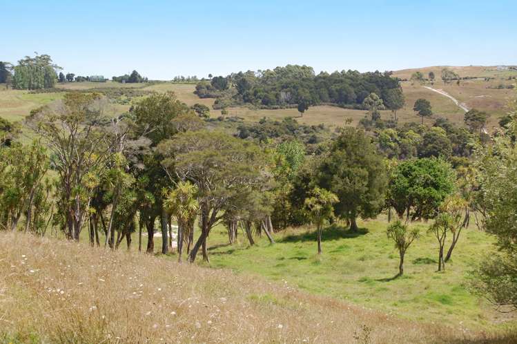 135 Phillips Road Kaiwaka_7