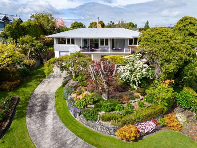 Tree Top Horizon Views – Super Spacious!