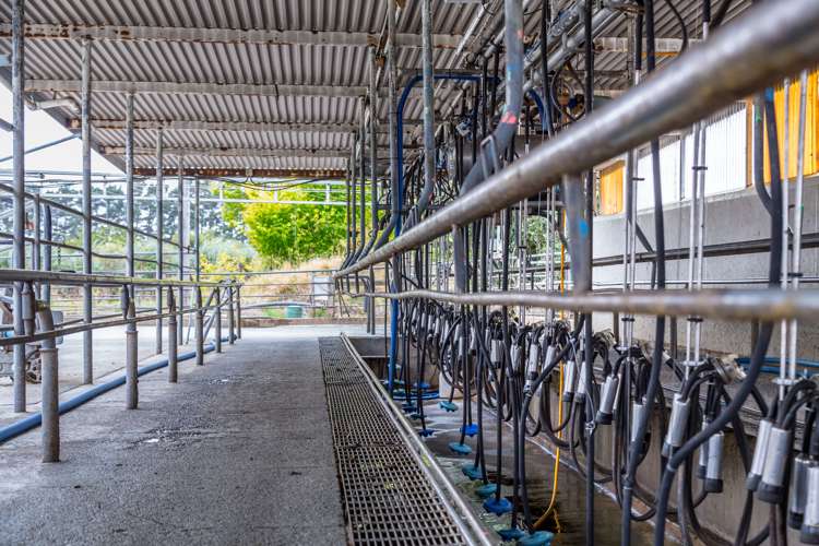 631 Opaki Kaiparoro Road Kopuaranga_9