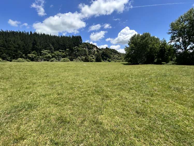 Near 1757 Tarata Road Tarata_11