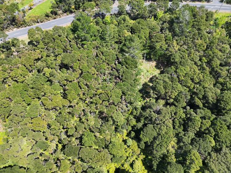 Te Wahapu Road_4