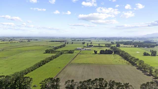 129-139 Tamatarau Road Tokomaru_3