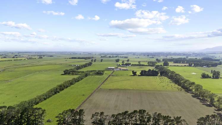 129-139 Tamatarau Road Tokomaru_3