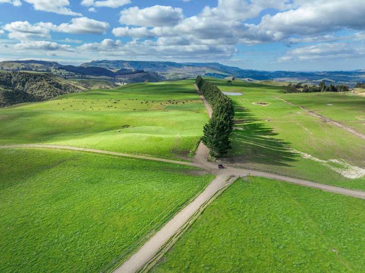 3986 Puketitiri Road Patoka_20