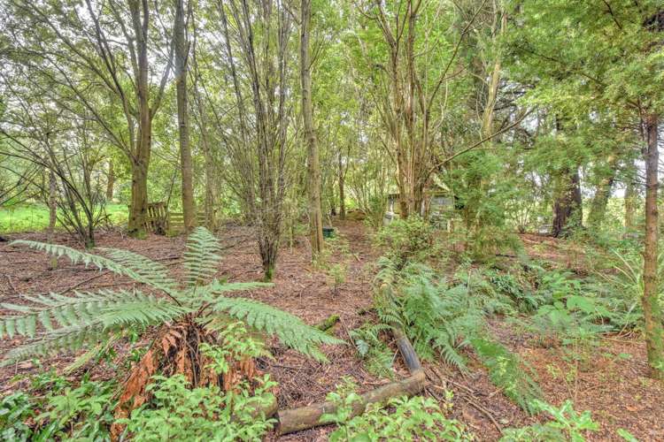 28 Mandeville Road Winton Surrounds_18