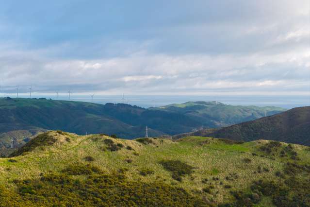 32 Alanbrooke Place & 71 Cornford Street Karori_4