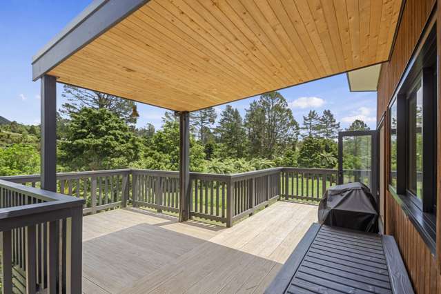 166 Swetman Road Waikino_2