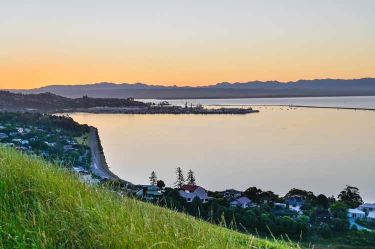 Bay View Road Atawhai_12