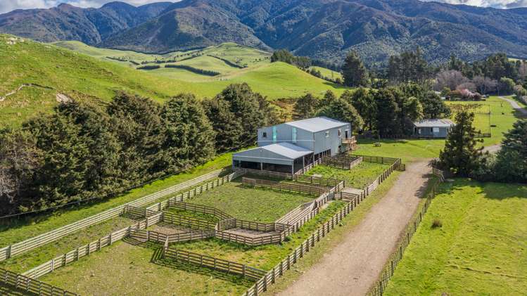 463 Gull Flat Road Central Hawkes Bay Country_11