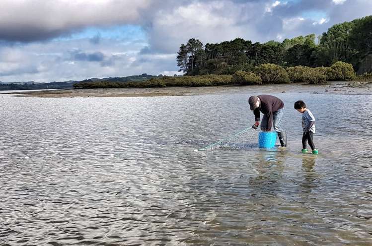 572a Pahi Road Paparoa_6