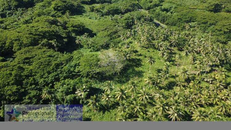 Address withheld Savusavu_21
