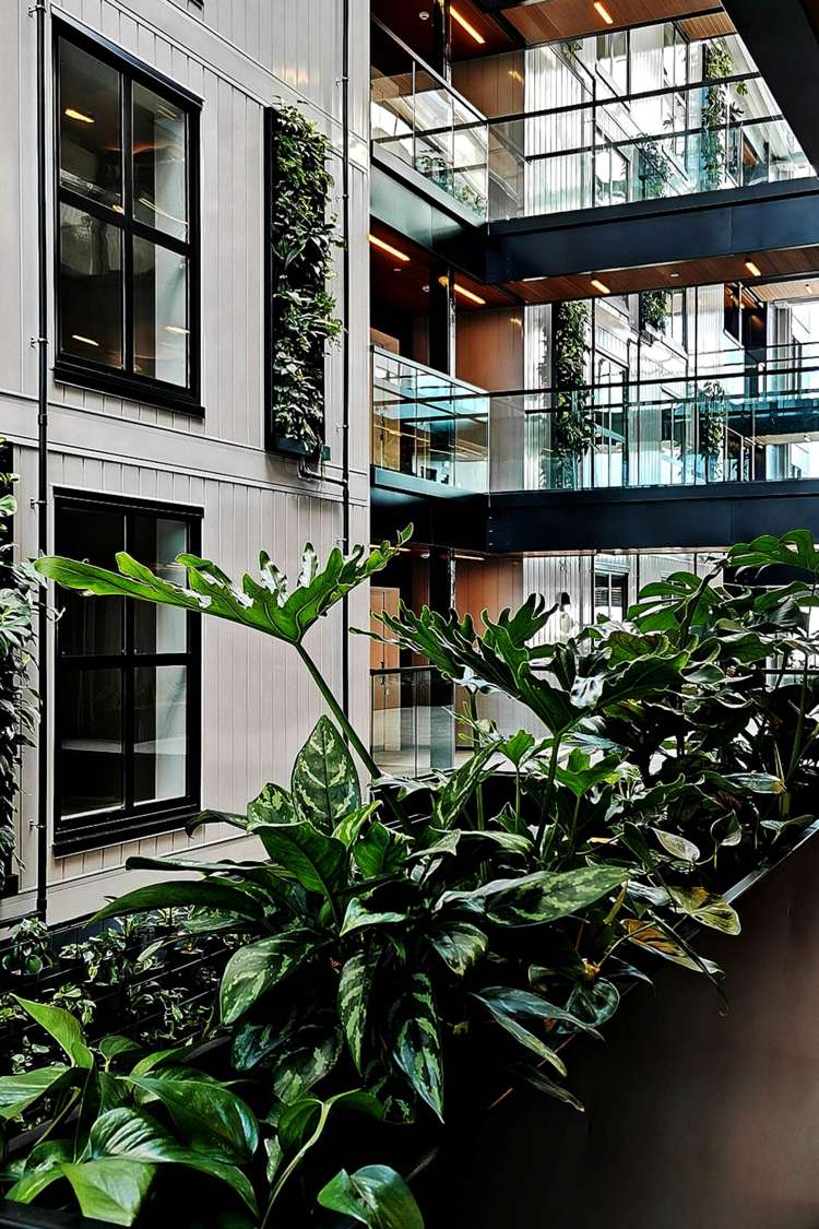 408/4 Bute Road Browns Bay_2