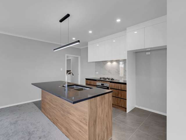 Lot 4, 32 Tiro Place Rototuna North_3