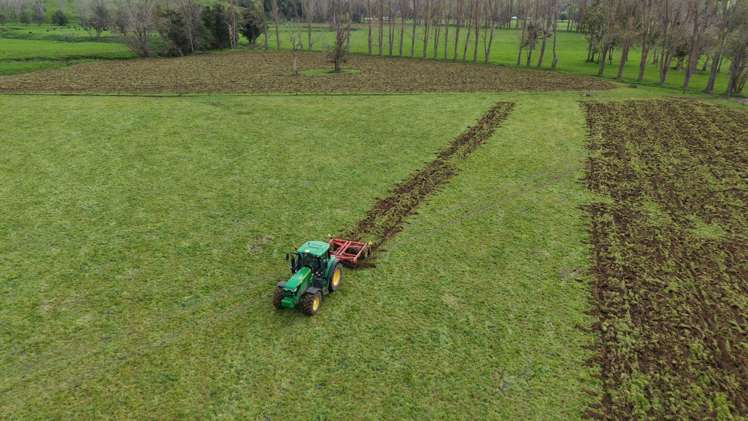 3675 Mangakahia Road Pakotai_4