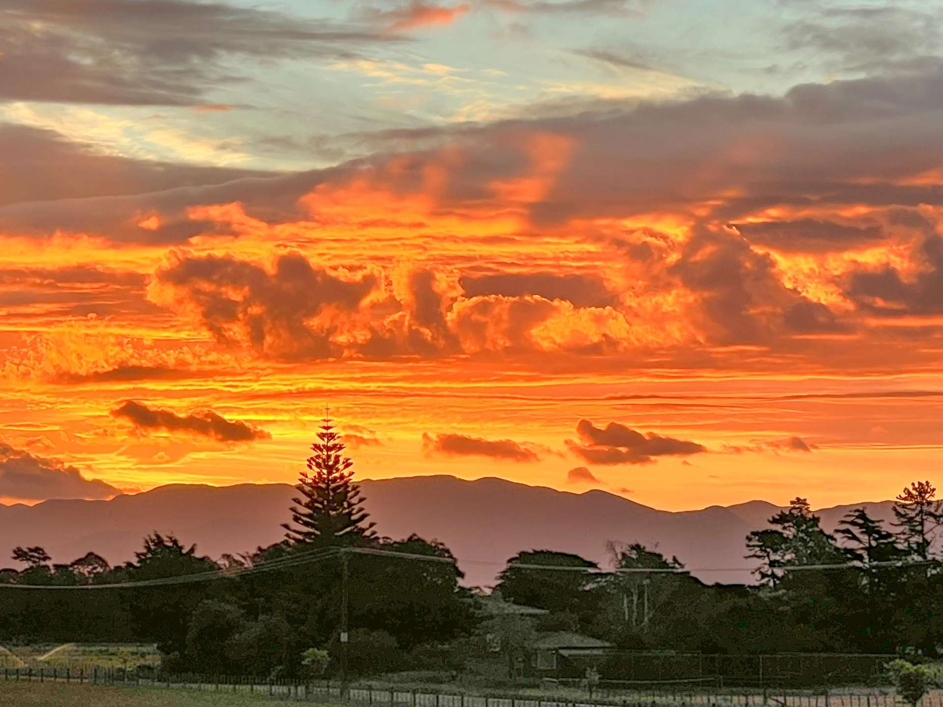 155 and 157 Te Maire Road Kahutara_0