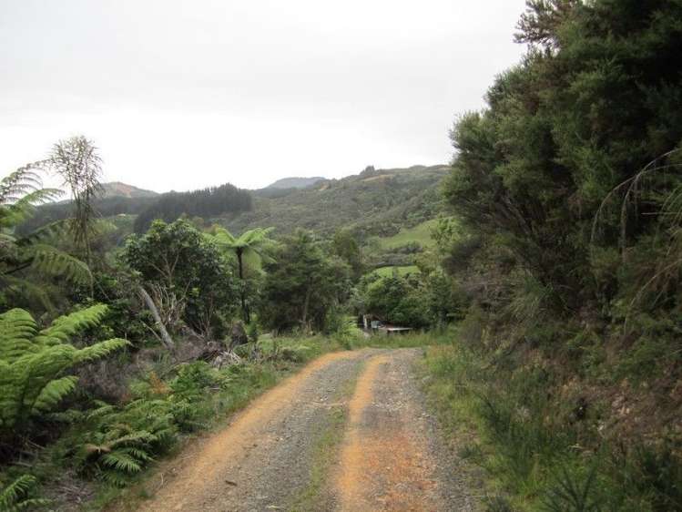 1661b The 309 Road Kaimarama_7