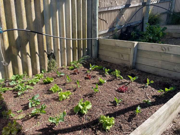 6 Port Robinson Road Domett_11