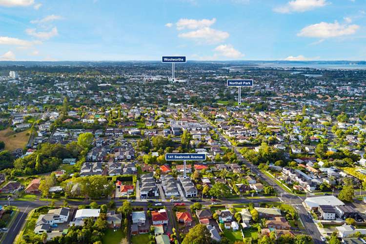 141 C&D Seabrook Avenue New Lynn_17