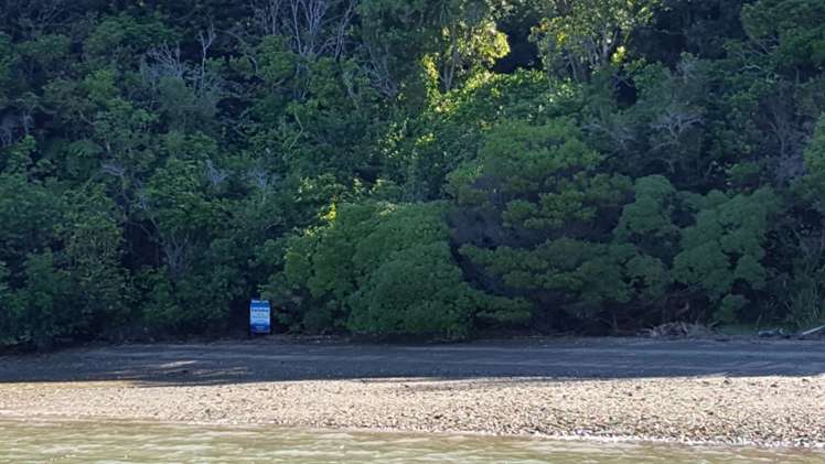 Torea Moua Bay Marlborough_25