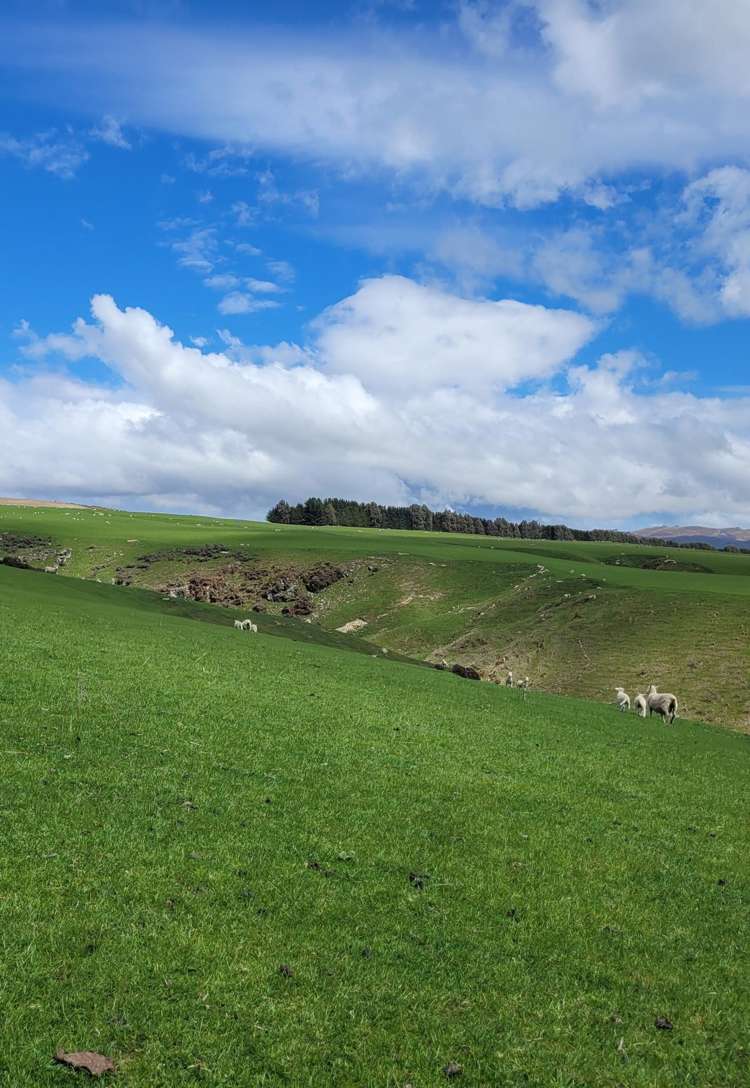 980 Moa Flat Road Moa Flat_7