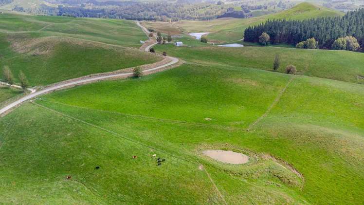 205 Ngawaka Road Flemington_18