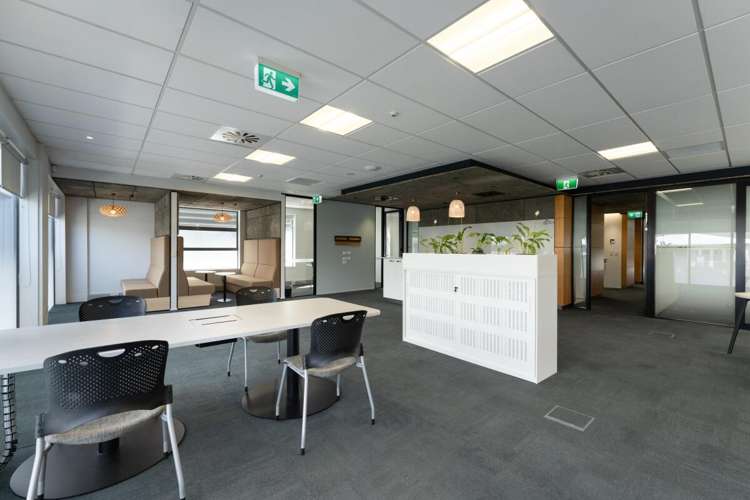 Level 1 Office 102 Hamilton Street Tauranga_13