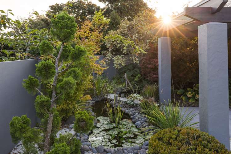 143 Long Road Te Awamutu_37